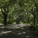 목포고등학교 이미지