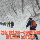 강원도 영월 만항재~하이원필리스호텔 운탄고도 눈꽃산행 이미지