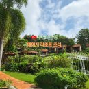 데이지 | 베트남 여행 푸꾸옥 중부 숙소 가성비 데이지 리조트 조식 시간 메뉴 후기