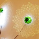 뚝딱뚝딱 정크아트 이미지