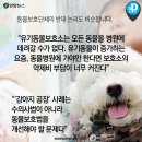 가야약국 네이버블로그