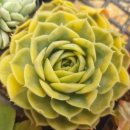 금병농장 이미지