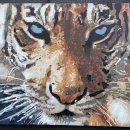 유화(주간) 이미지