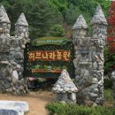 허브나라농원 Daum카페