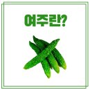 (주)참두리 이미지