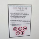 오전11 | 캐리비안베이 일요일 오전 11시 도착 후기! 사람 많을까? 유수풀·파도풀·다이빙 총정리
