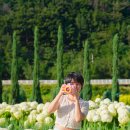 거제-동부-남부-비상-03 | 거제 동부저수지 수국 축제 동산 개화시기