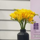 봄날온누리약국 이미지