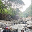 두C 표류기 (본능이냐 예절이냐 그것이 문제로다....) 이미지