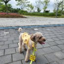 눈보뛰 프리미엄 이미지