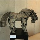 광무목장 이미지