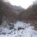 덕유대야영장 이미지