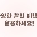 맨션 브릿지 이미지