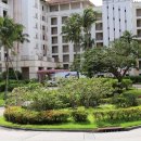 팰리스마트 이미지