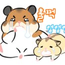 랄라하우스 이미지