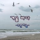 겨울바다./.유영석.박 인희./.Love Story./.Vanny Vabiola.Andy Williams 이미지