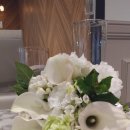 카라웨딩 이미지