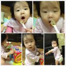 푸드케어 이유식 모니터맘 4