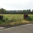 시흥리-3 이미지