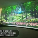 모두의정원