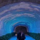 터널 게임랜드 | 충주 활옥동굴 입장료 카약 탑승, 충주 가볼만한곳