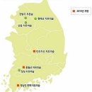 아토피·고혈압·우울증·스트레스 등 건강회복과 치유를 숲에서! '산림치유' 이미지