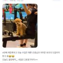 [PT후기 맛집] 로얄핏 !유나대표님의 찐 PT후기(강남헬스/서초헬스)