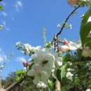 솔밭농원 이미지