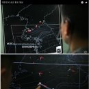 순종봄베이 뱅갈육종원 딥퓨어캐터리 이미지