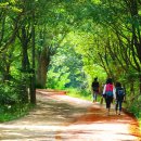 UR(논산국토관리사무소)-[동학사1로]-하-1 | 따뜻한 날씨로 요즘 야외활동하기 좋은 요즘. 자유로운 여행이 어려운 시기에 움츠러든 몸과 마음에...