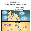 메이트라이즈