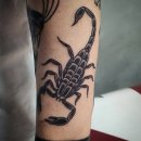 블랙워크 | 잠실타투 남자 팔 하박 올드스쿨 전갈타투 후기 – 강렬한 블랙워크 감성