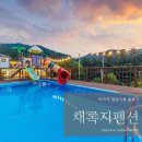 채록지 이미지
