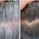 큐사랑 이미지