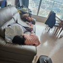 아이한의원 | 한의원 감기 치료 아이 둘 후기