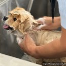 수원-0591 이미지