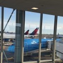 뉴욕비즈니스호텔 | [뉴욕 - 암스테르담] KLM 비즈니스 후기 + 공항 내 면세 &amp; 가게 - 미피 정보