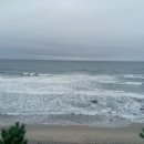 가족독채펜션편한대로 이미지