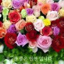 멋진 하루 이미지