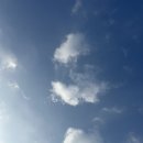[1주차-스페셜] 썸데이 페스티벌 토요일 후기: 우리의 헤드라이너는 실리카겔이었던 건에 대하여