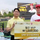 명품타이거즈 이미지