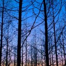 판매왕 치과기공소 이미지