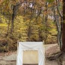 모어가닉 이미지