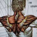 [상동PT] 바디테크짐