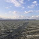 THE오름공인중개사사무소 이미지