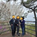 통영케이블카(하부1층) | [통영 여행]통영 미륵산 케이블카 가격 할인 비용 운행시간 후기기
