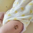 연세진소아청소년과의원 이미지