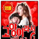 연극 - 고양이라서 괜찮아 이미지