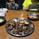 진북편백골관광농원캠핑장 | 폭우 캠핑 7월 캠핑기록 마산 진북 편백골 캠핑장