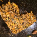 육하원칙직산점 이미지